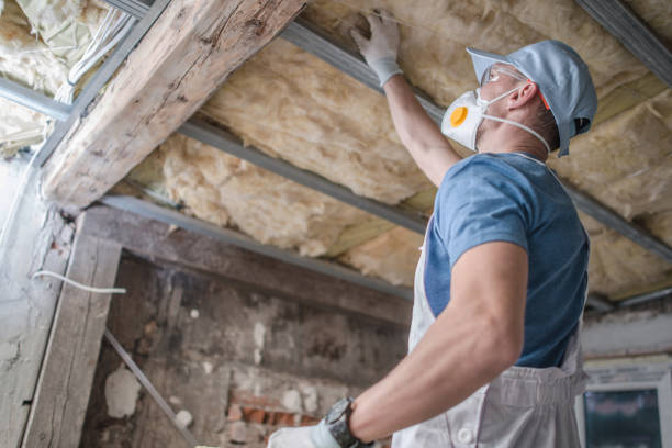 Best Insulation Installation Services in Victoria, MS