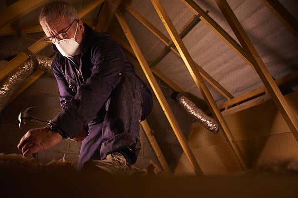 Best Insulation for Specific Applications in Victoria, MS